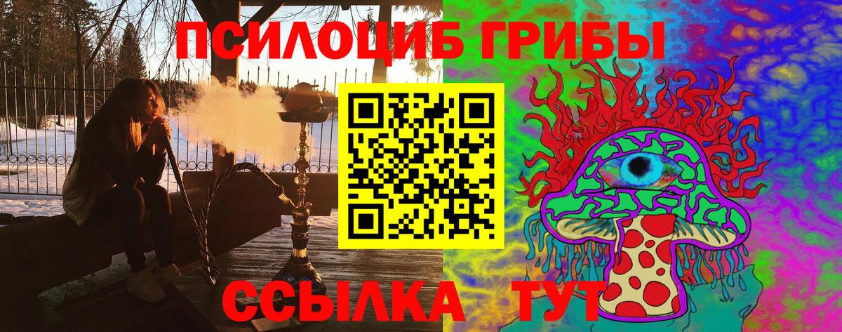 Галлюциногенные грибы Magic Shrooms  Галлюциногенные грибы GOLDEN TEACHER  Вход с VPN  Мурманск 