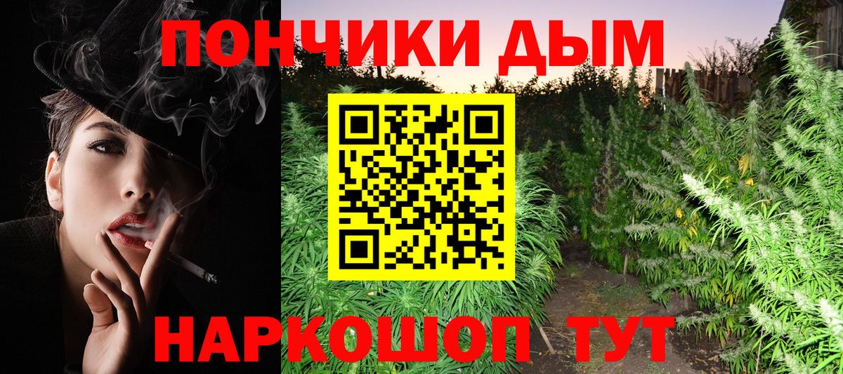 Бошки марихуана SATIVA & INDICA  Вход с VPN  Канабис SATIVA & INDICA  Бошки Шишки Bruce Banner  Канабис THC 21%  Мурманск 